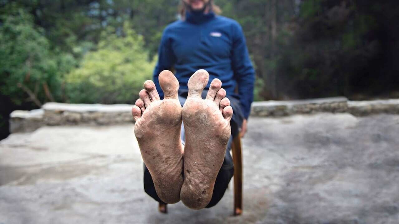 the barefootdutchman