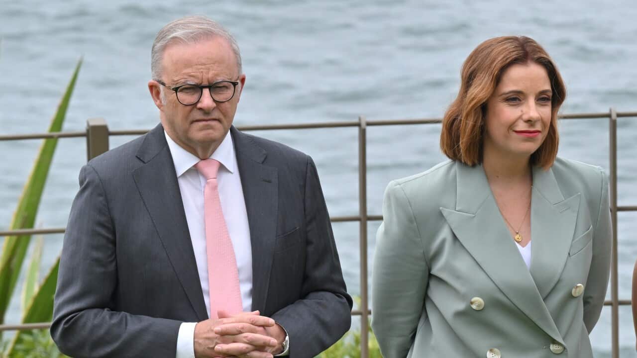 Image for read more article 'READ MORE'