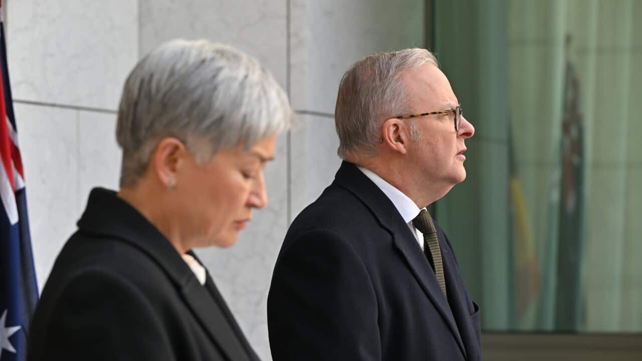 ANTHONY ALBANESE PRESSER