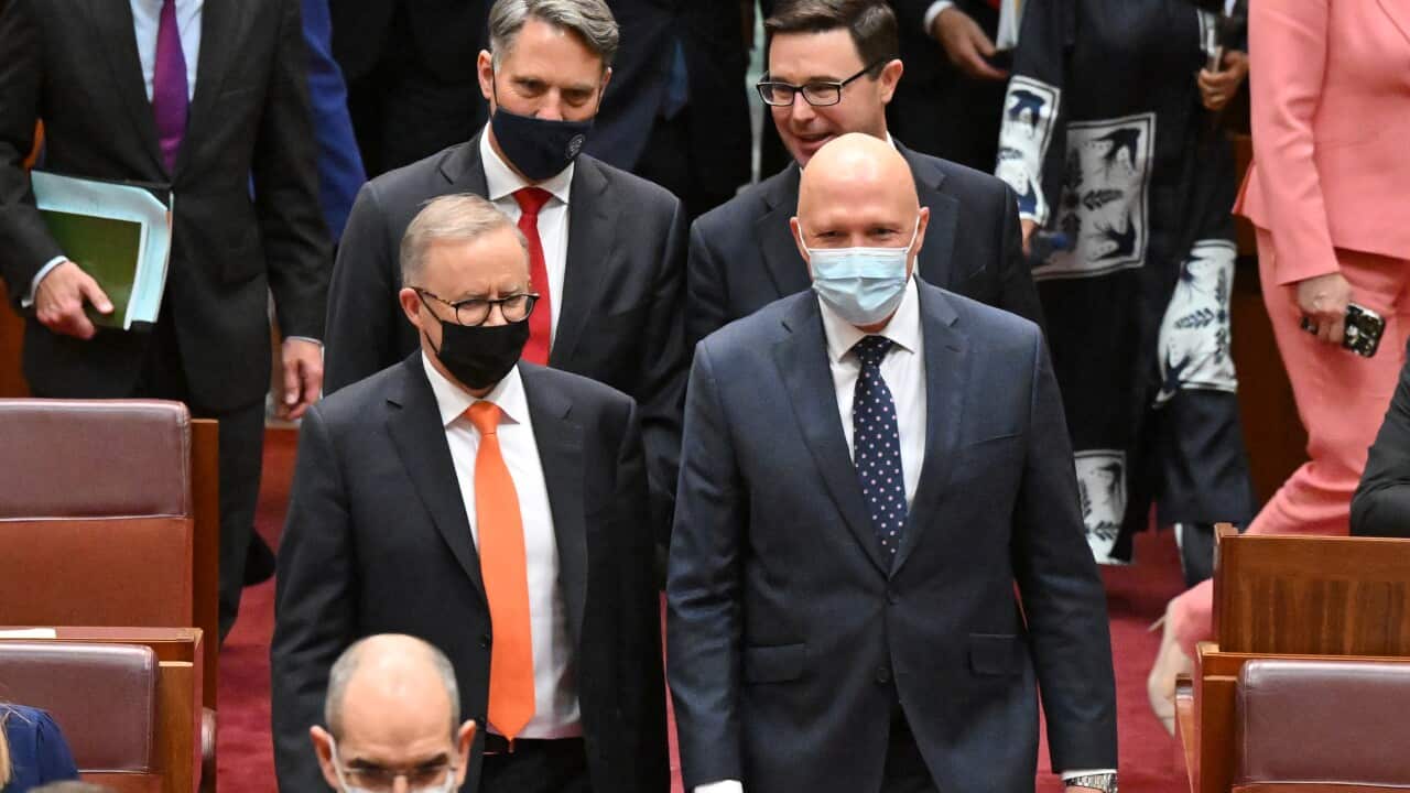 Parlament