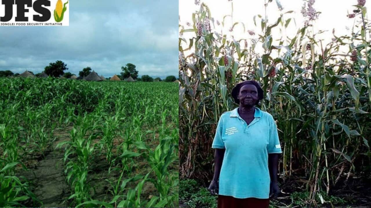 local farmer in Jonglei State at her farm