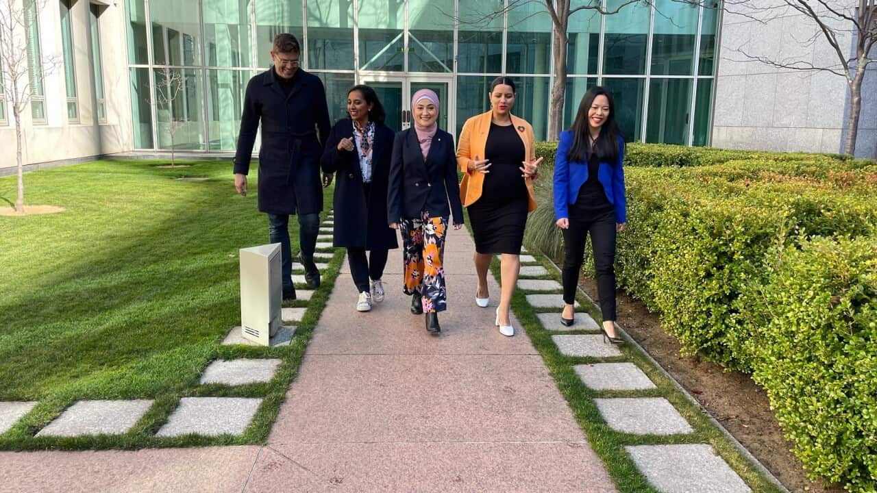 Jerome Laxale, Doctor Michelle Ananda-Rajah, Fatima Payman, Jana Stewart and Sally Sitou (from left to right) are among 20 new Labor caucus members (SBS).jpg