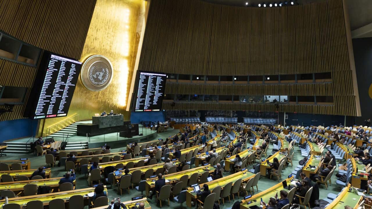 United Nations General Assembly votes on non-binding resolutions on Palestine