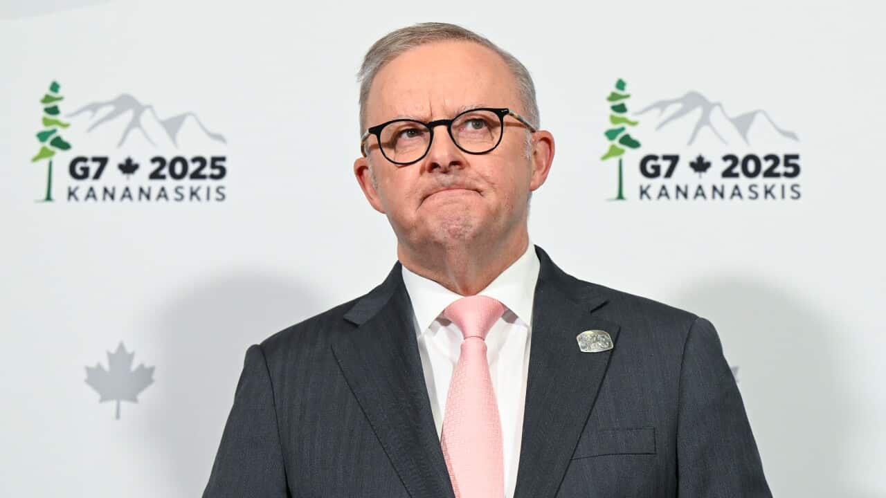 Prime Minister Anthony Albanese, wearing a suit, tie and glasses.