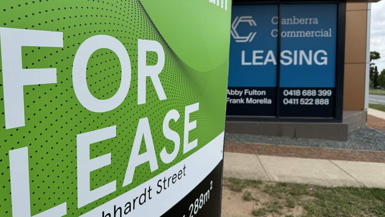 Image for read more article 'READ MORE'