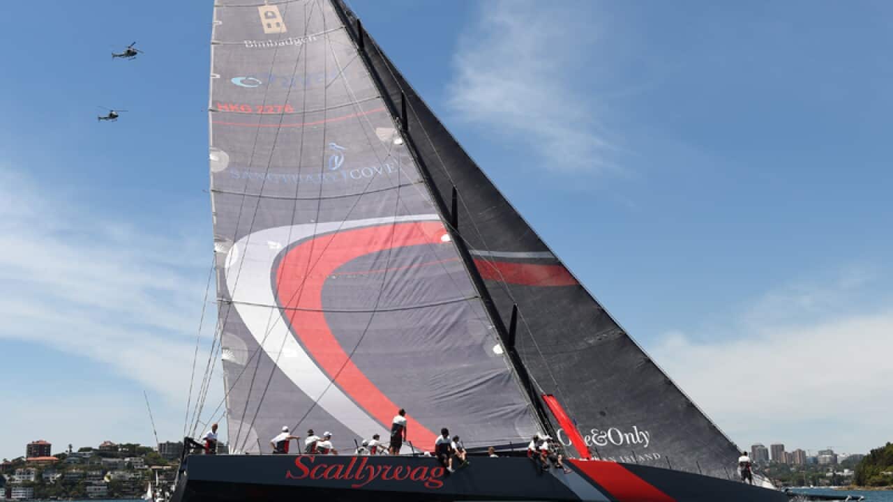 Scallywag during the Big Boat Challenge on Sydney Harbour