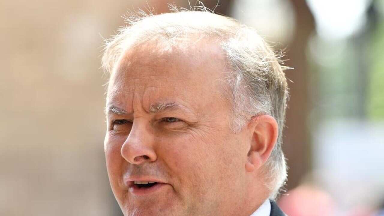 Federal shadow infrastructure minister Anthony Albanese