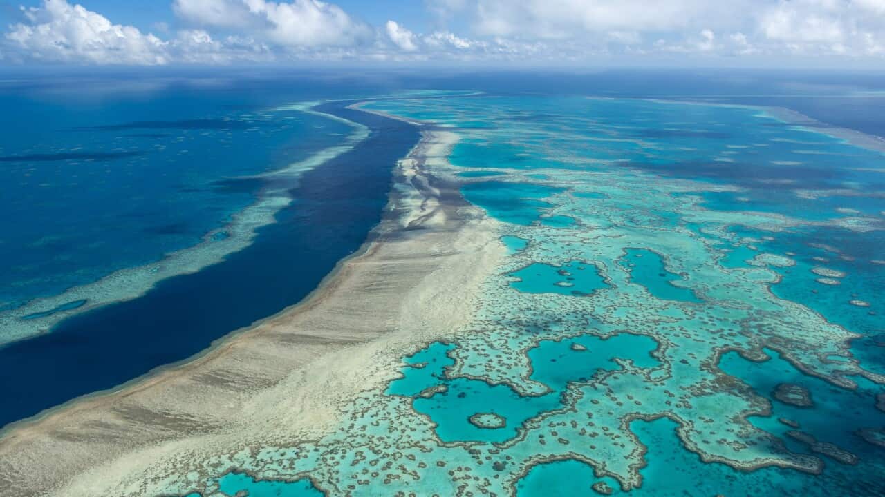 UN Climate Report Australia