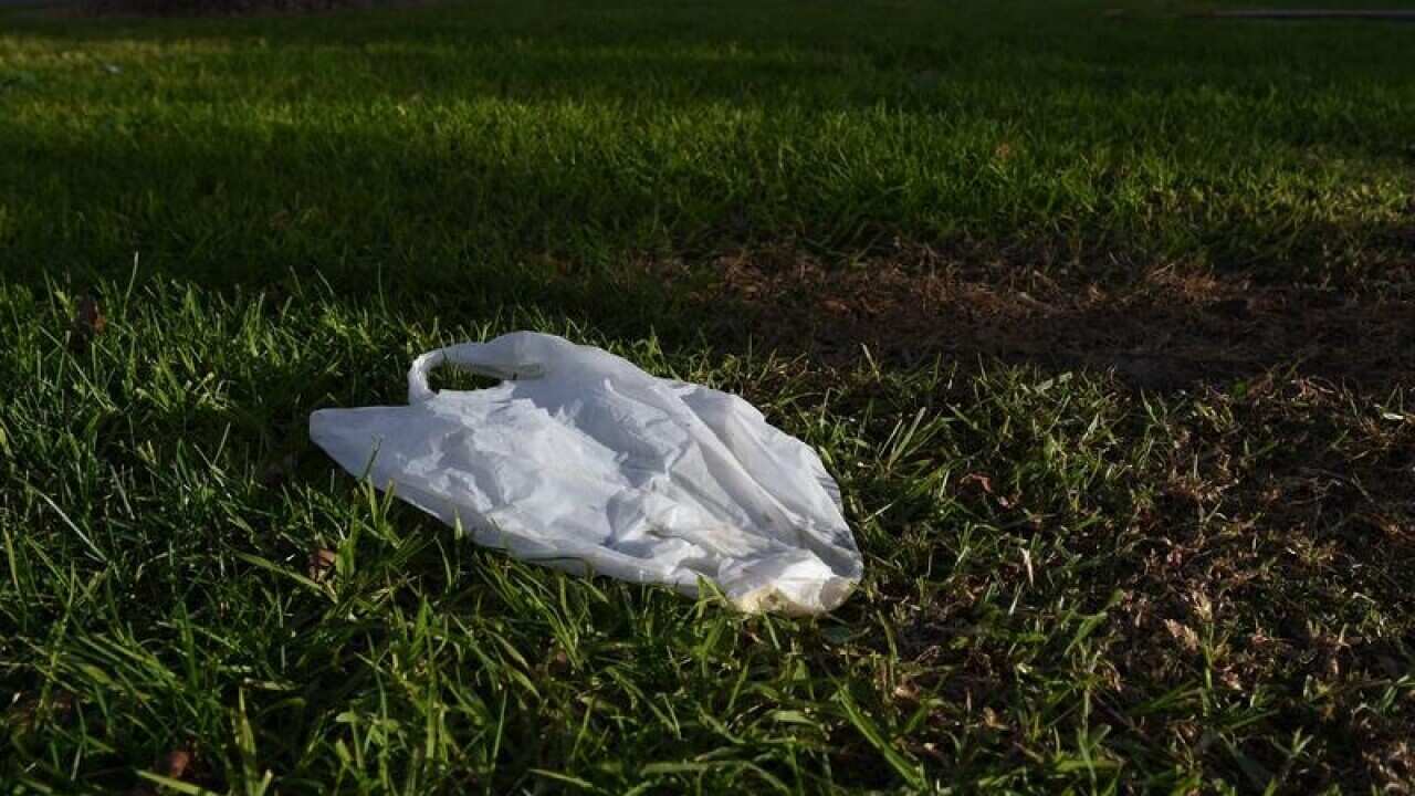A plastic bag in a park in North Melbourne