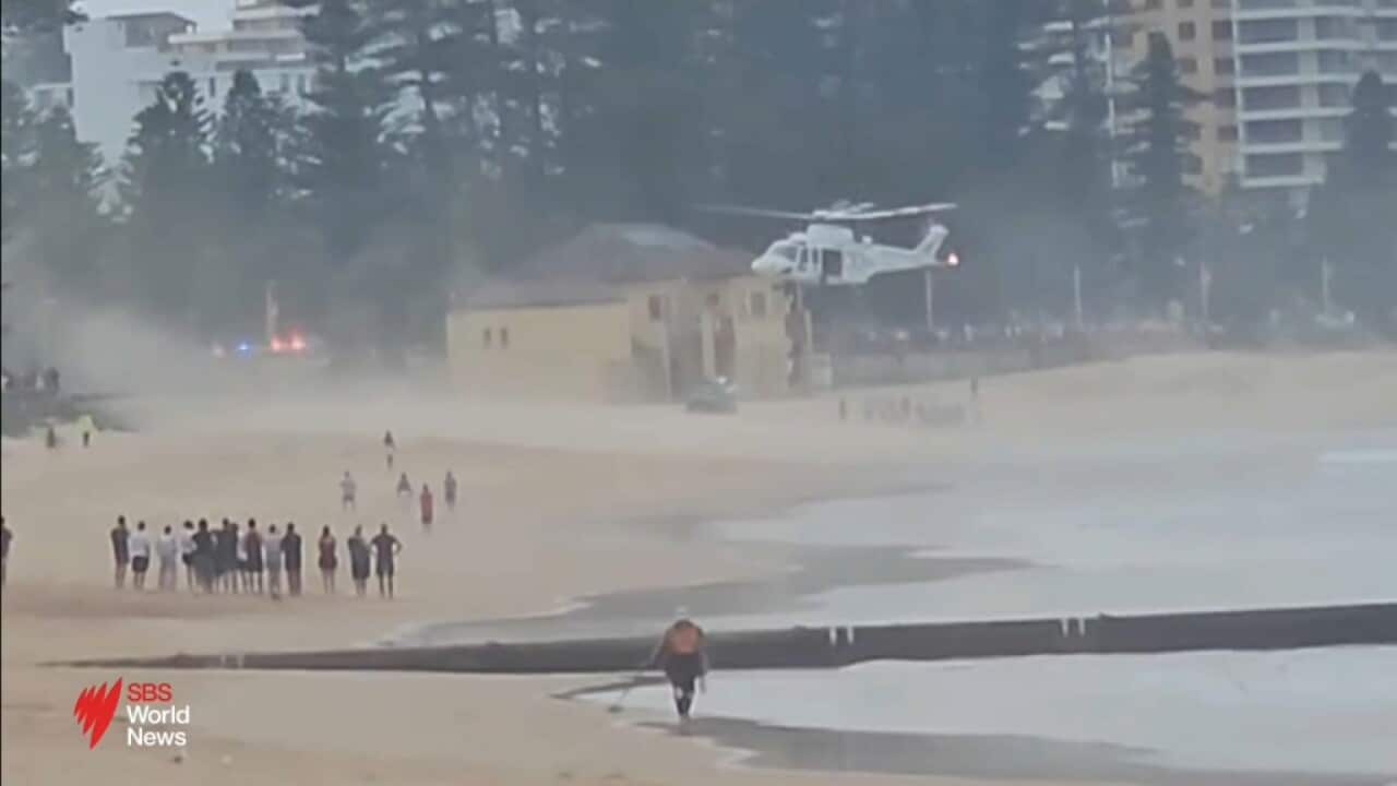 A spate of suspected bull shark attacks in New South Wales has left beach goers on edge. 