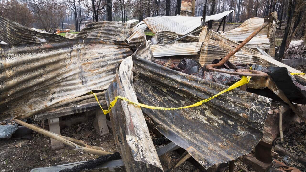 The Red Cross has received hundreds of fraudulent claims for bushfire assistance.