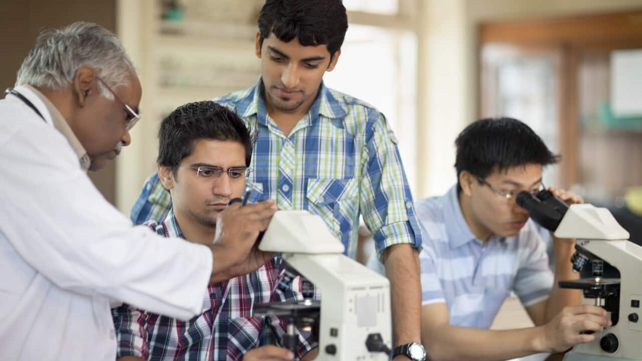 Indian Professor Teaching Students Microscopy