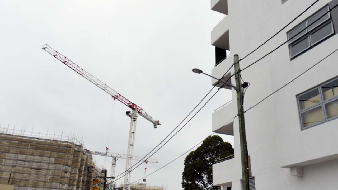 An apprentice carpenter