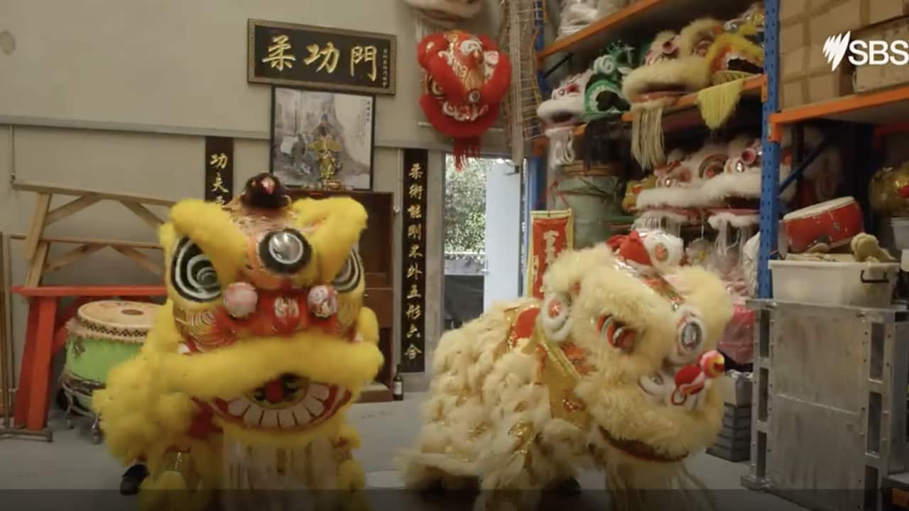 Lion dancer