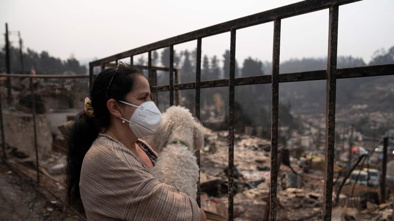 Forest fires cause damage in Nuble and Biobio regions