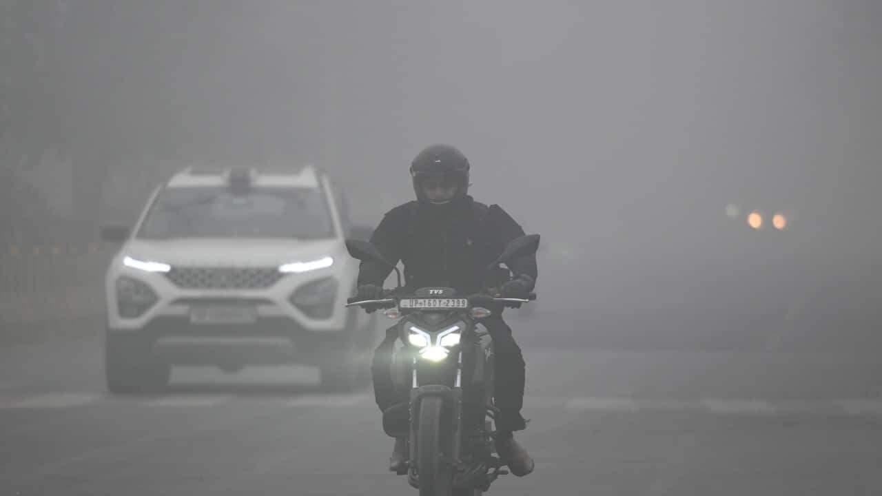 India: Dense Fog, Cold Waves Continues To Tighten Grip Over Delhi-NCR