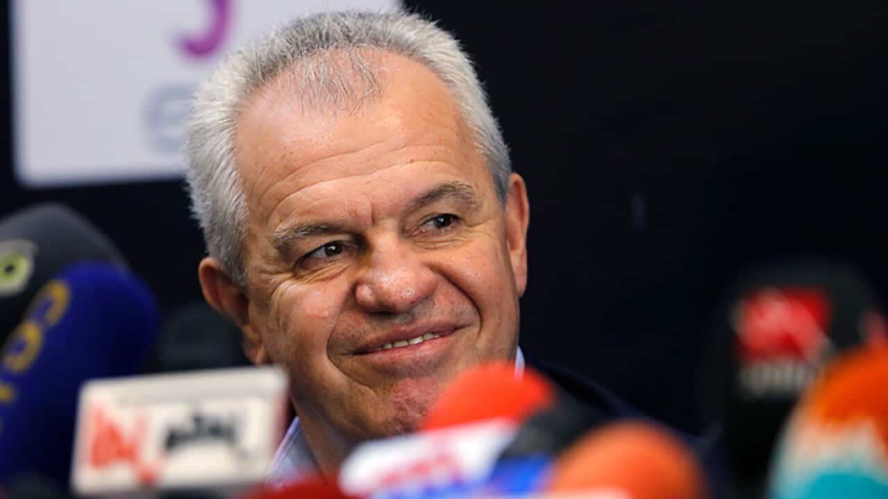 Egypt National Football Team Coach Javier Aguirre