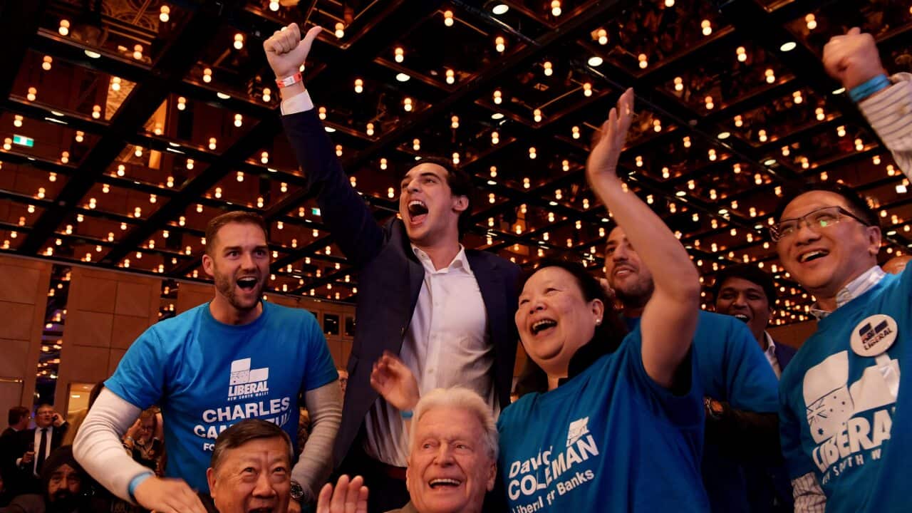 Image for read more article 'READ MORE'