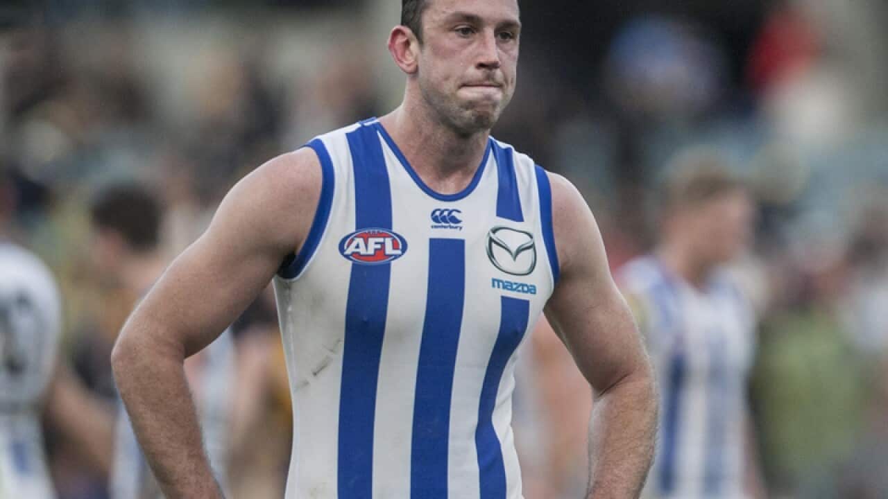 Todd Goldstein of North Melbourne