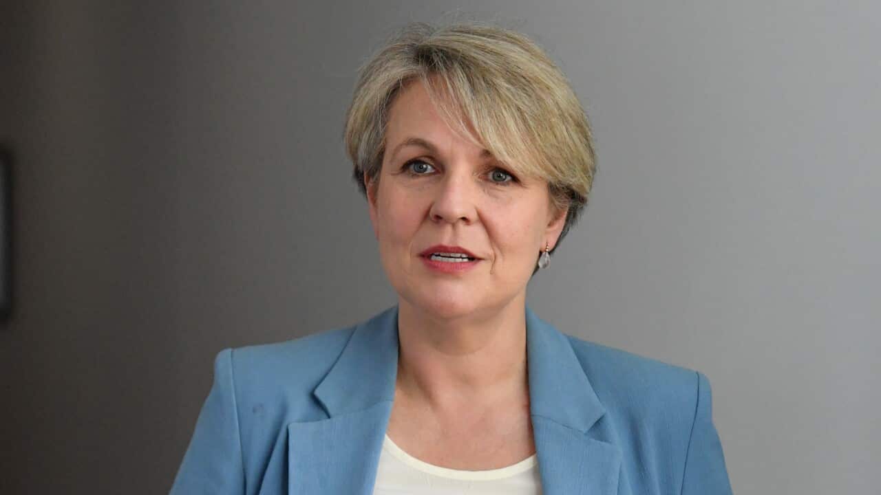 Tanya Plibersek claims to 'save the reef' but heading to court over 'failing' to protect it - Vimarsana News