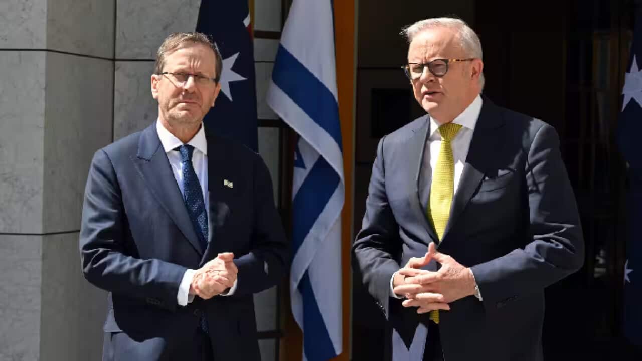Isaac Herzog met with Prime Minister Anthony Albanese on the steps of parliament.png