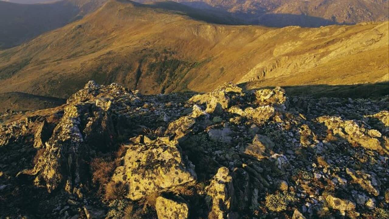 The Kosciuszko National Park