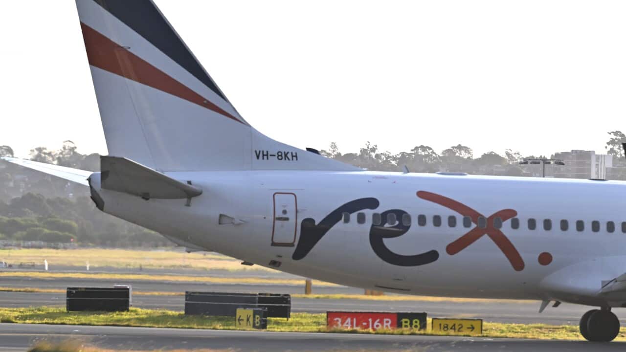 REX AIRLINES STOCK