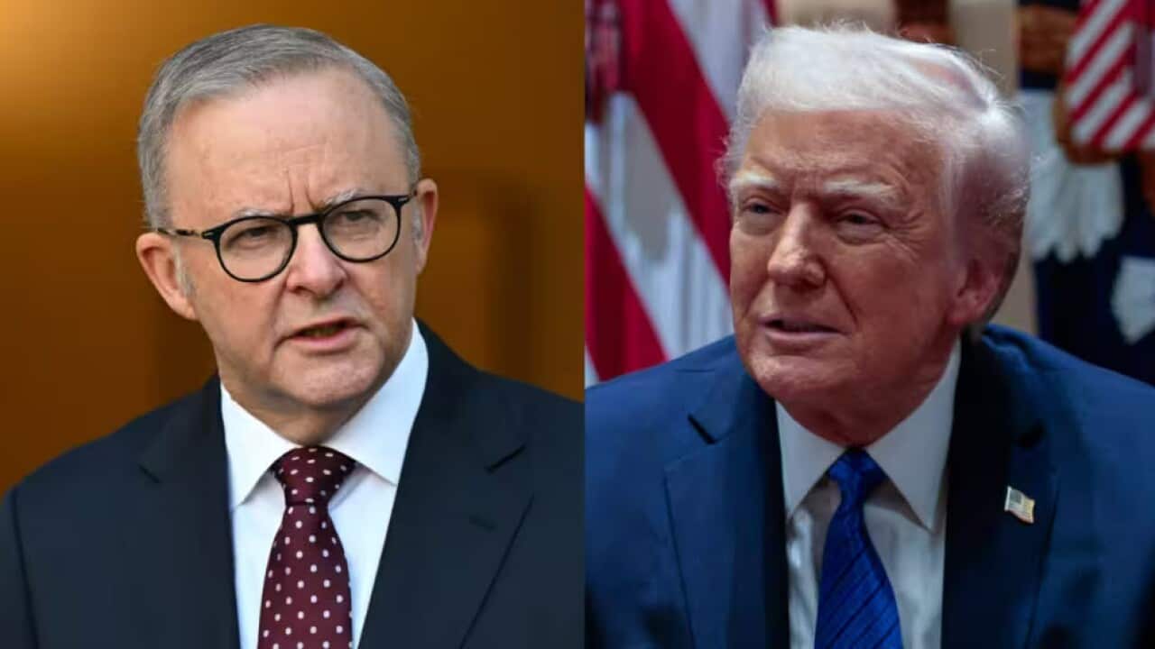 albo trump aap.jpg