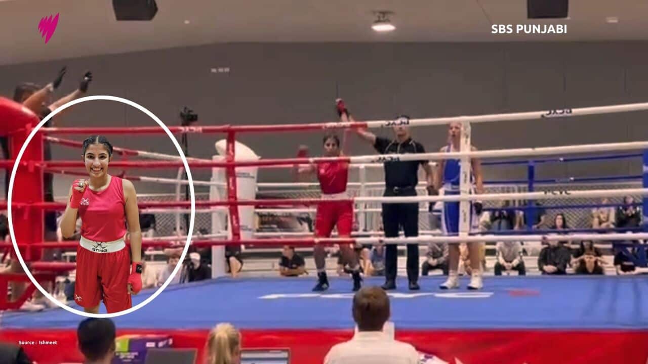 Various 2025 (Presentation).jpg