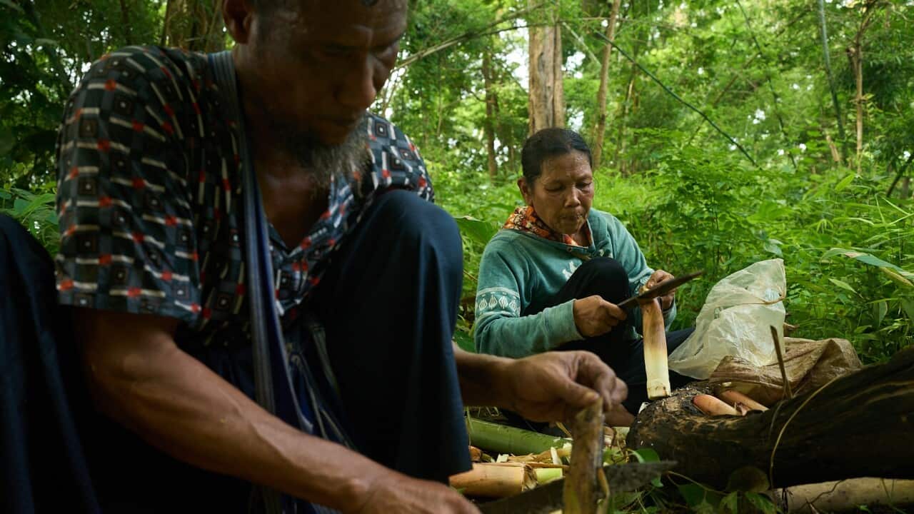 Foreign Aid-Myanmar's Misery