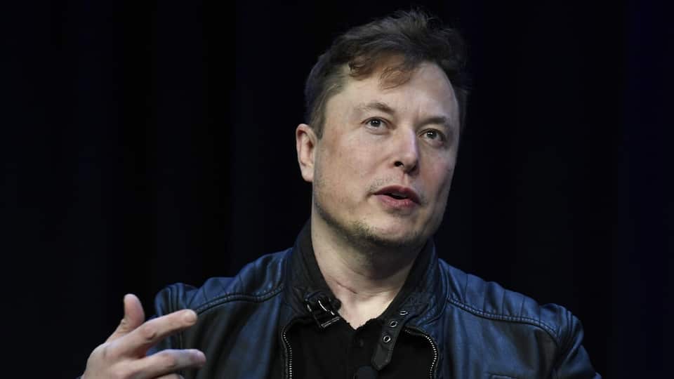 Why Elon Musk and others are calling for an urgent pause on AI | SBS News