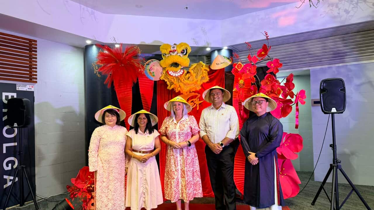 Tet in Darwin 2.jfif