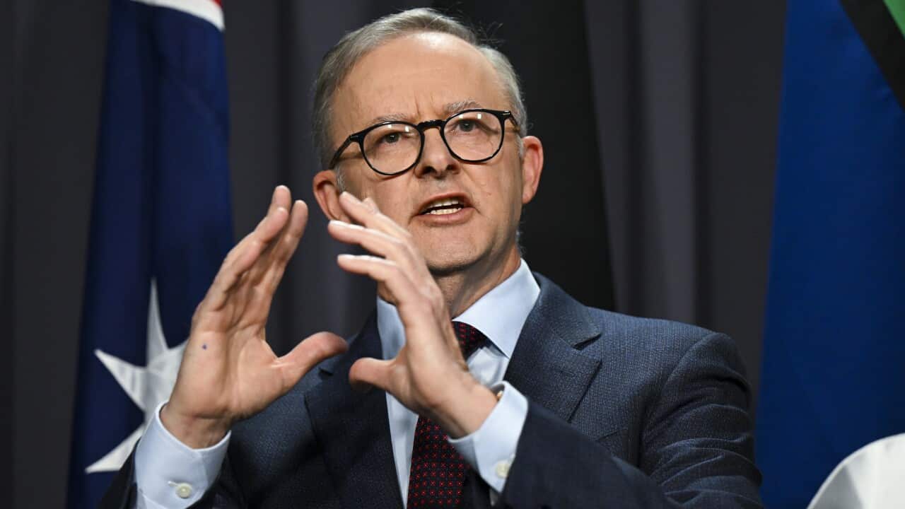 ANTHONY ALBANESE PRESS CONFERENCE