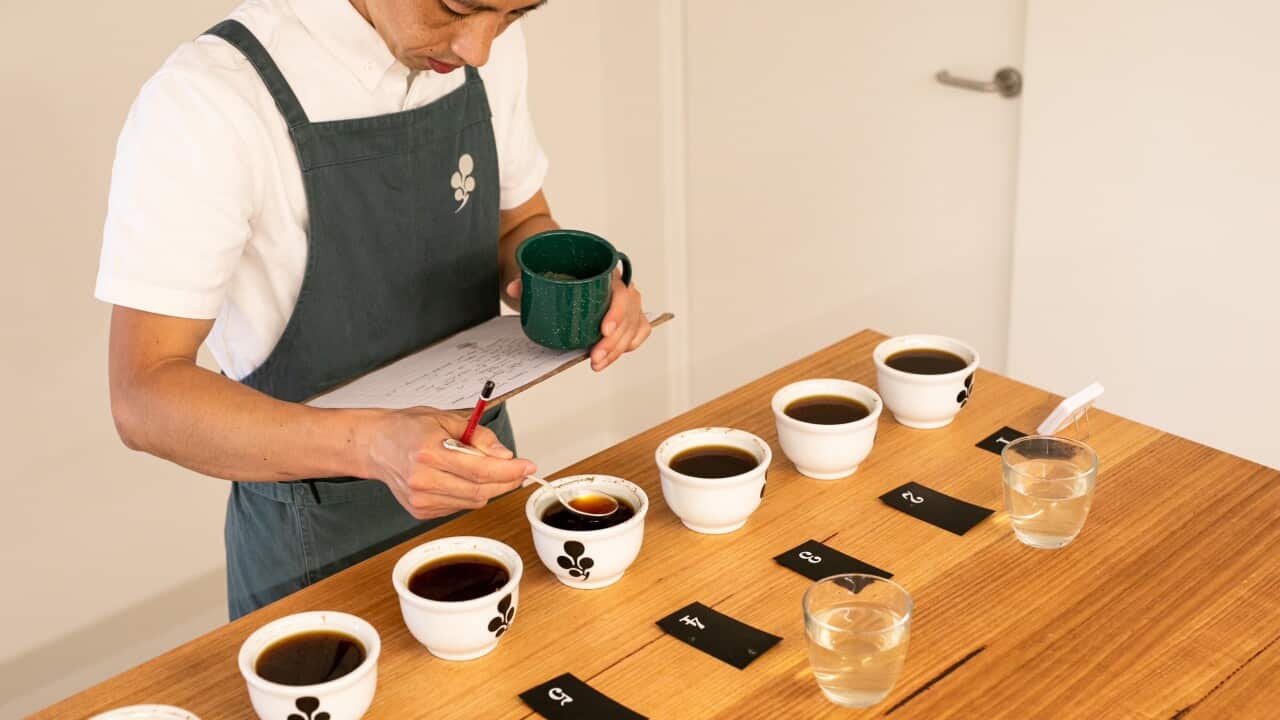 Photo supplied by Toshiyuki Ishiwata