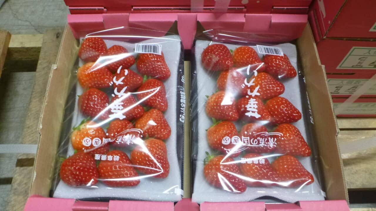 Image for read more article 'READ MORE'