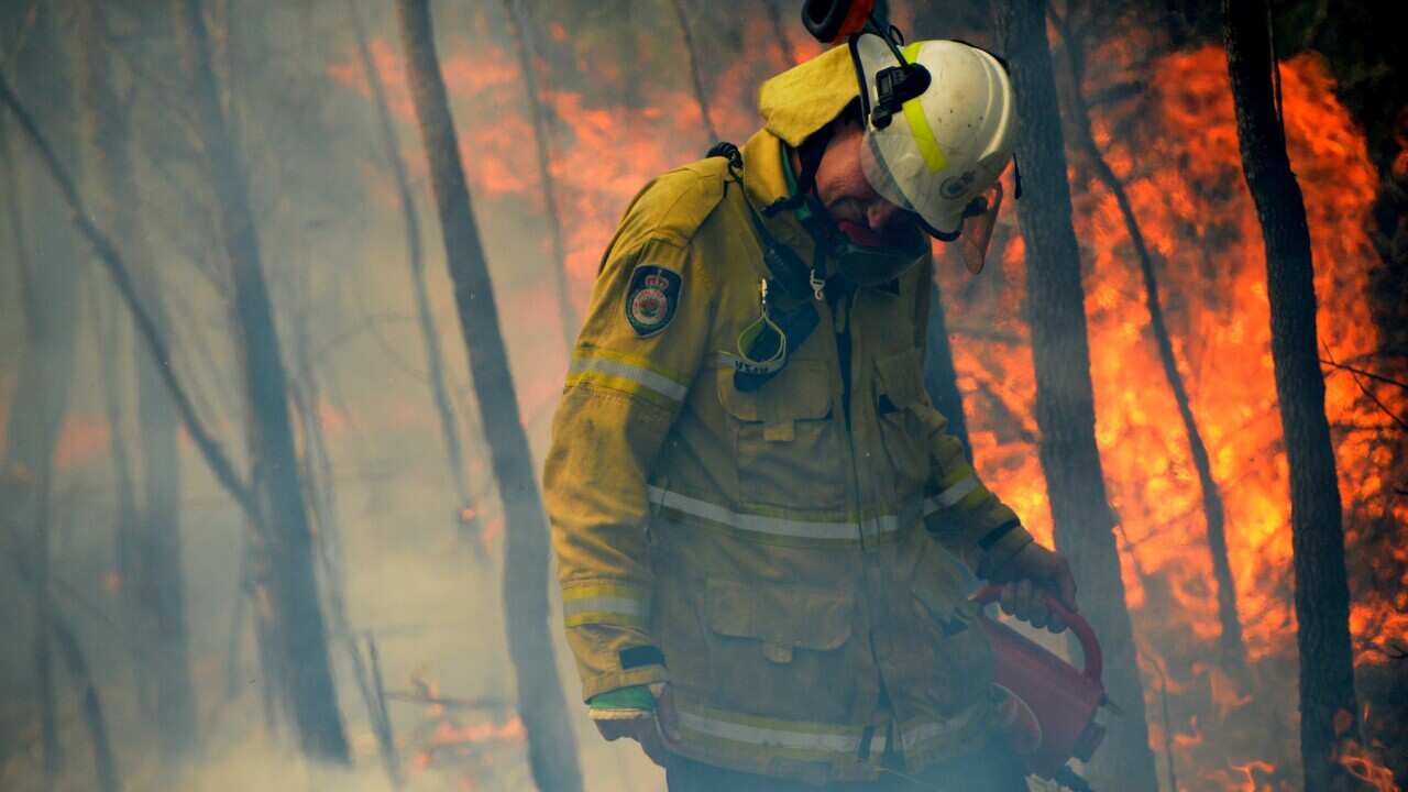NSW Rural Fire fighters establish a backburn in Mangrove Mountain, NSW in early December 2019