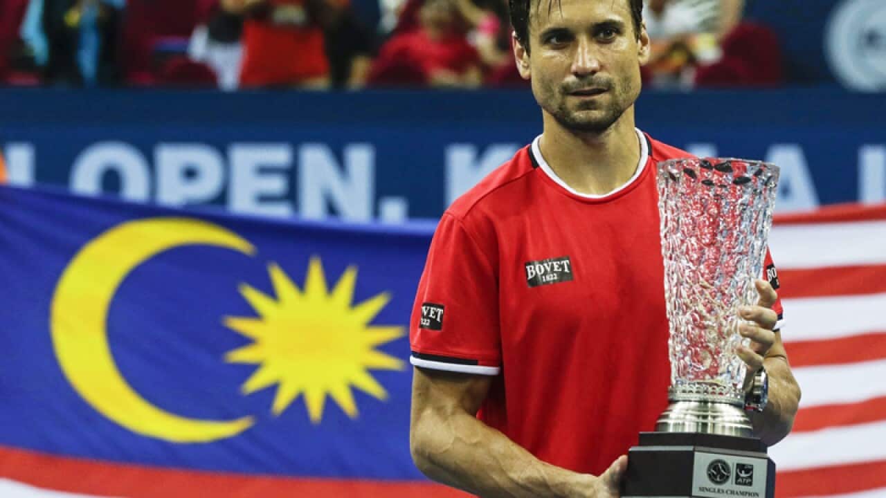 Span ish tennis player David Ferrer