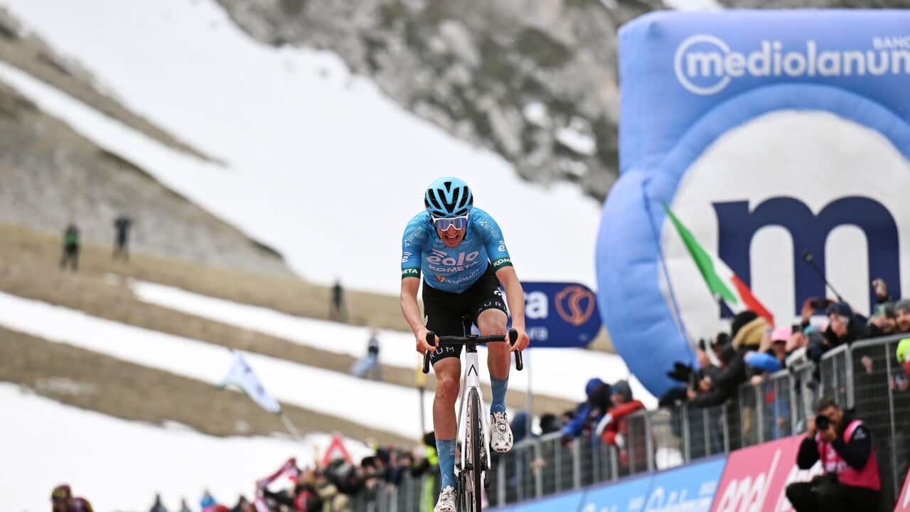 Image for read more article 'READ MORE'