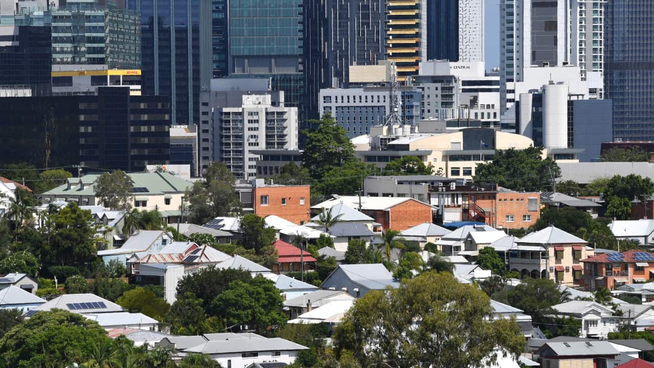 The roofs of houses and a city skyline.