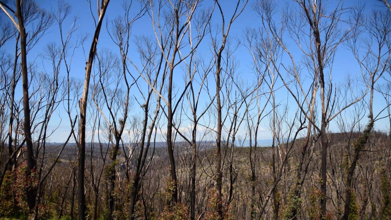 Image for read more article 'READ MORE'