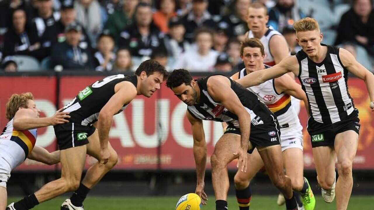 Collingwood and Adelaide did battle at the MCG