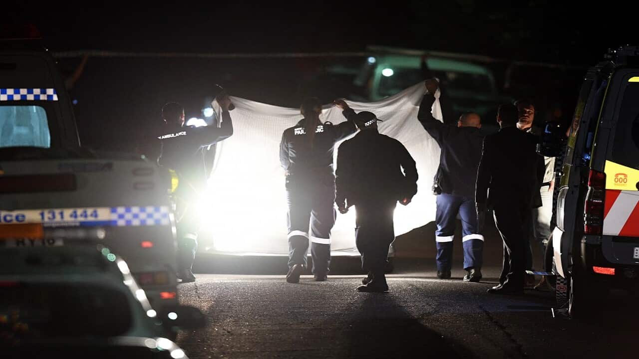 Two teenagers were shot dead and a third person was injured.
