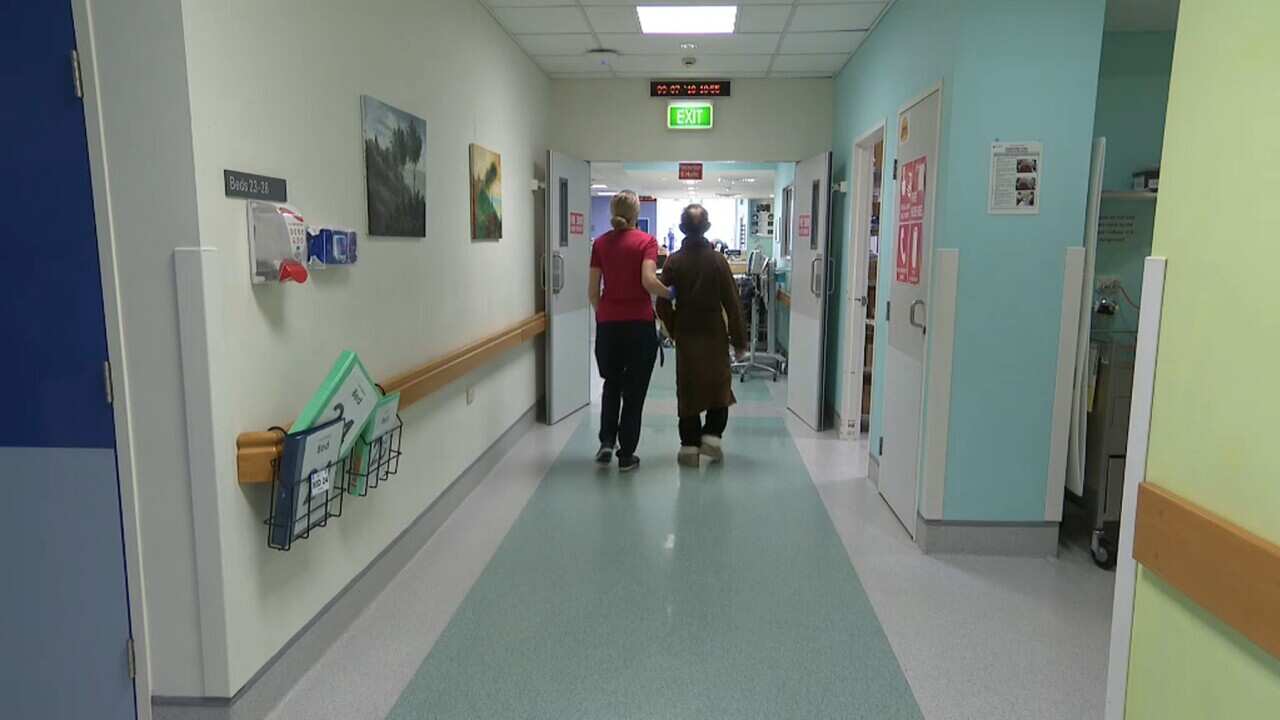 Patients treated in Hospital