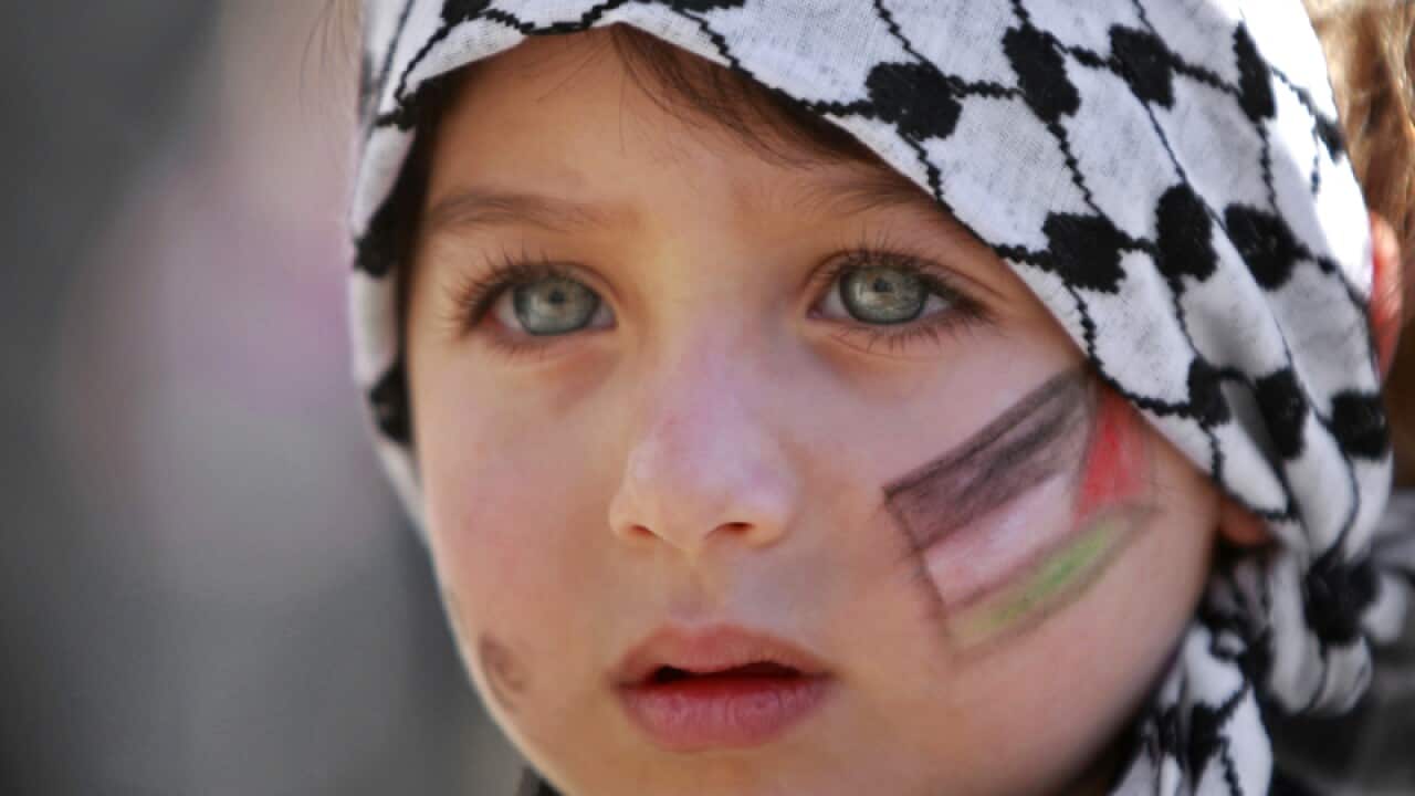 A girl with the Palestinian flag painted on her face