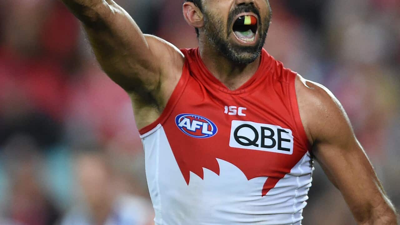 Afl Says Sorry For Not Protecting Adam Goodes Sooner From Racist Booing Sbs Nitv 9593