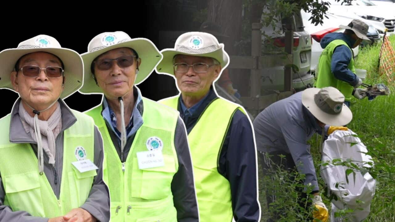 Ashamed of discarded noodle packets, these community elders launched a 'backyard' cleanup - Vimarsana News