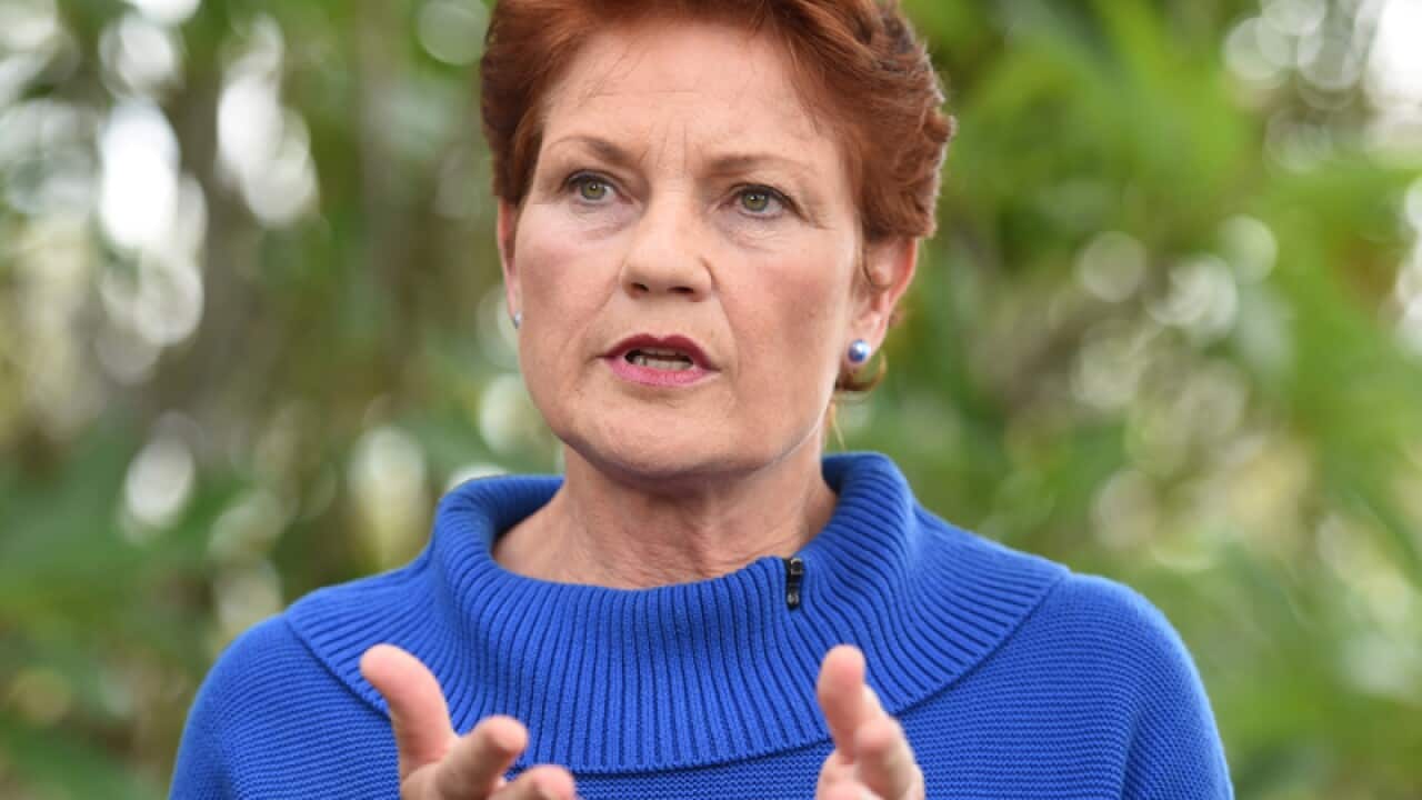 One Nation politician Pauline Hanson