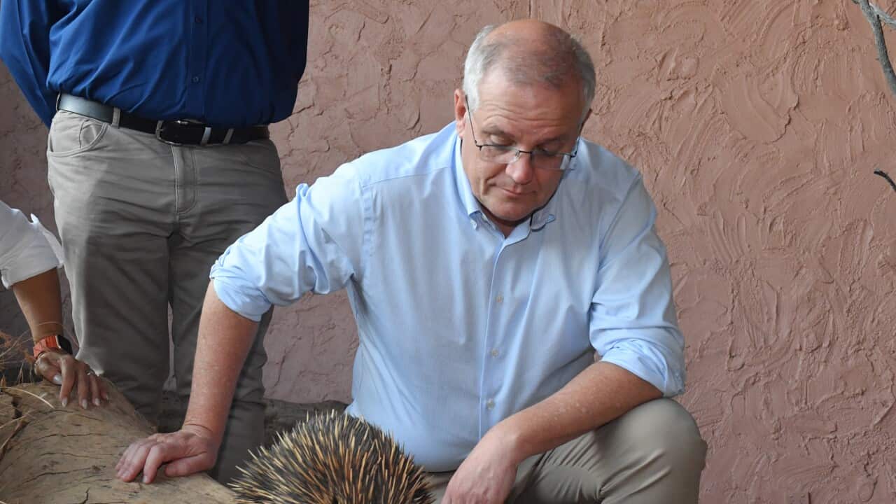 ELECTION22 SCOTT MORRISON ELECTION CAMPAIGN