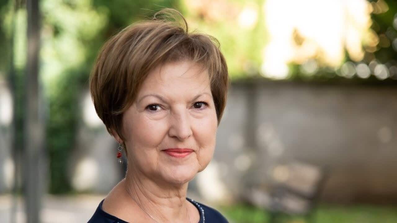 Jasminka Despot Lučanin