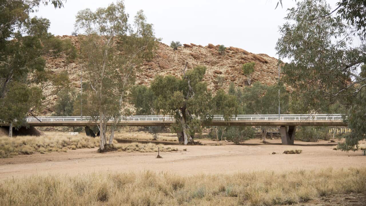 ALICE SPRINGS STOCK